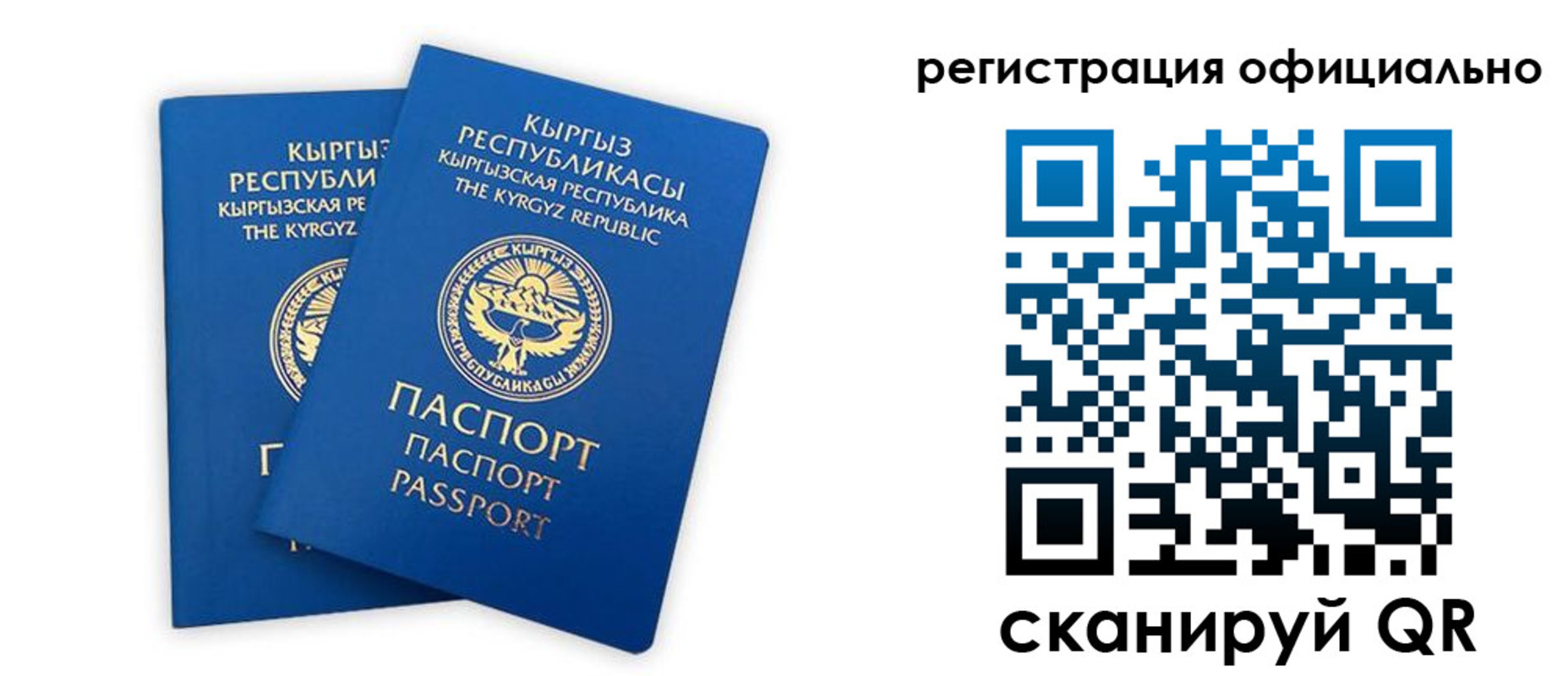 прописка поиск в Менделеевске